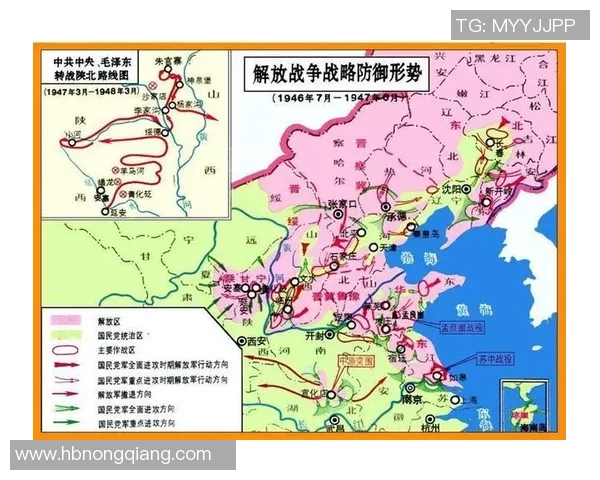 重庆网球队防守策略深度解析与战术应用探讨